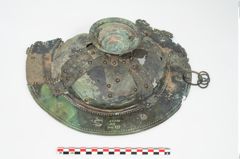 Foto von Bronzebreitrandfußschale (NHMW-PRAE-025740)